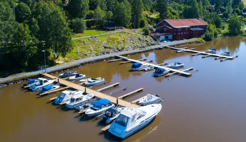 Gansvika