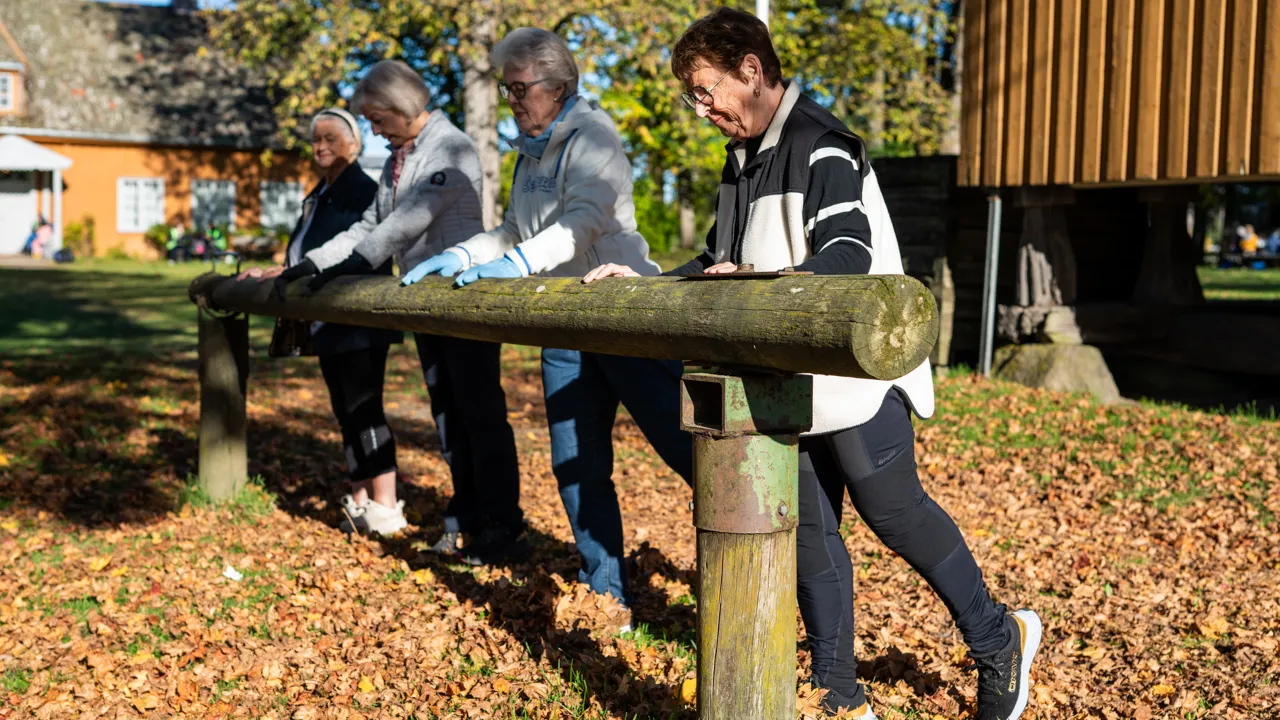 Eldre mennesker i aktivitet på Huseby gård