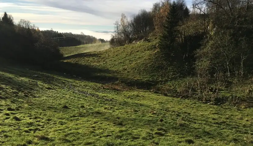 Åpen mark og noen trær.