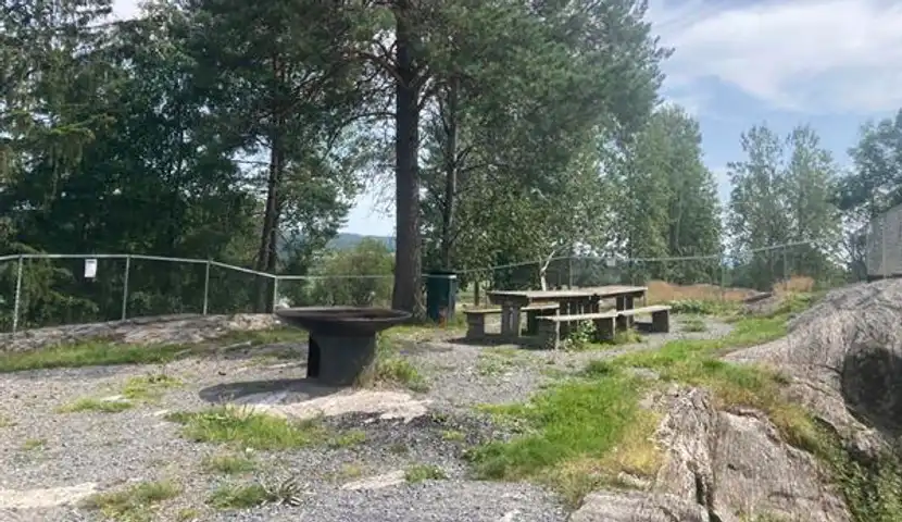 Benker og bålplass i skogkanten.