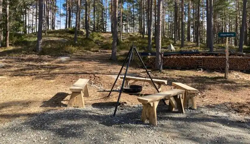 Benker og bålpanne midt i en skog